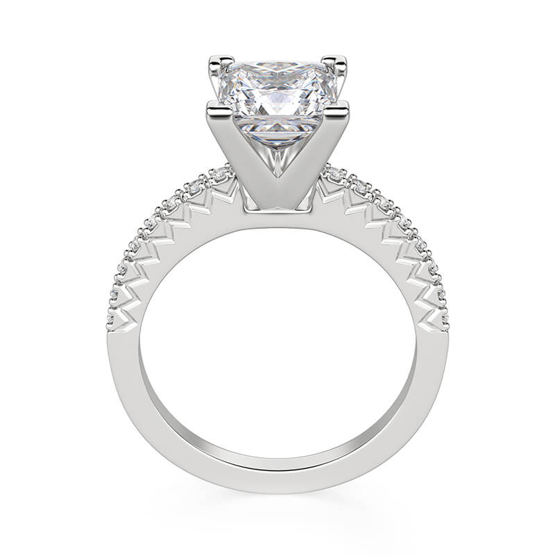 Cathedral Princess Cut Moissanite Pave Engagement Ring