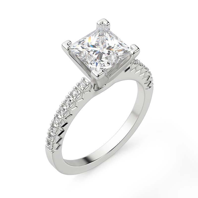 Cathedral Princess Cut Moissanite Pave Engagement Ring